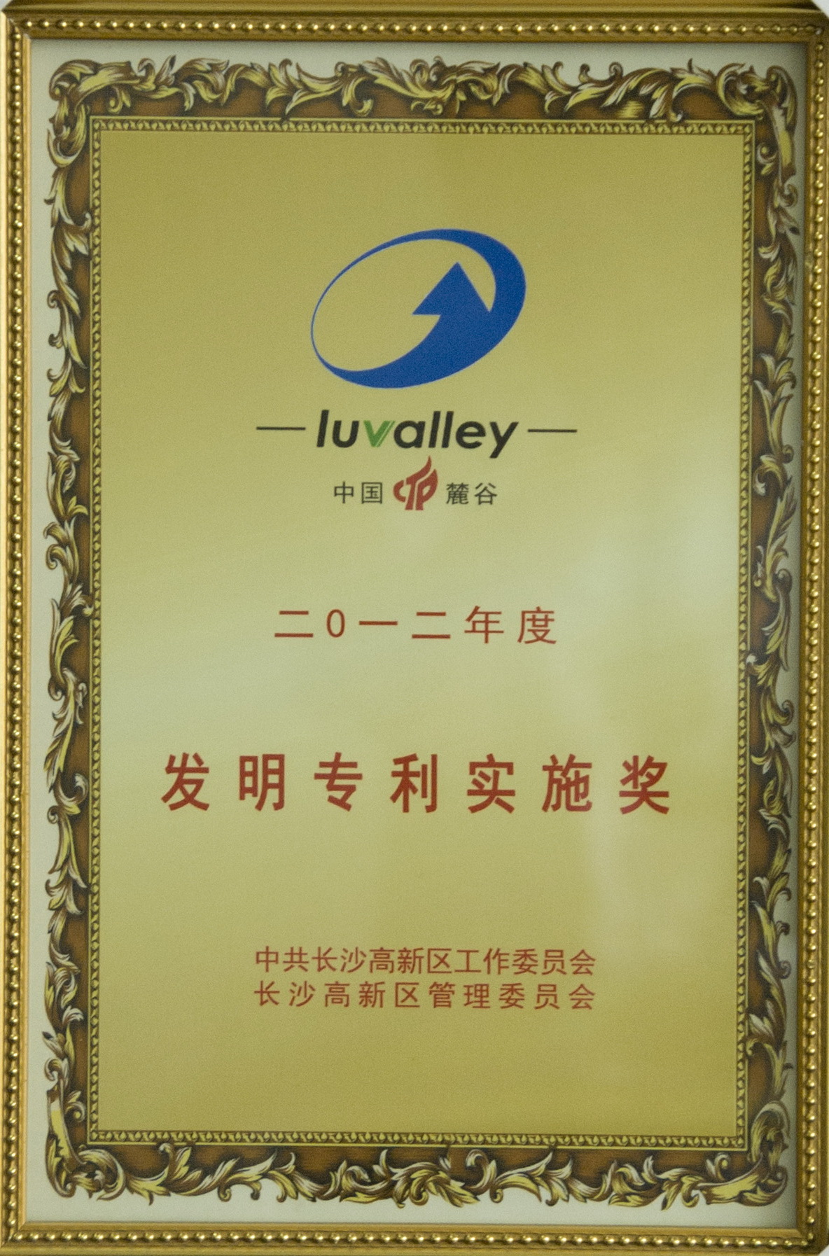 長沙高新區(qū)發(fā)明專利實施獎