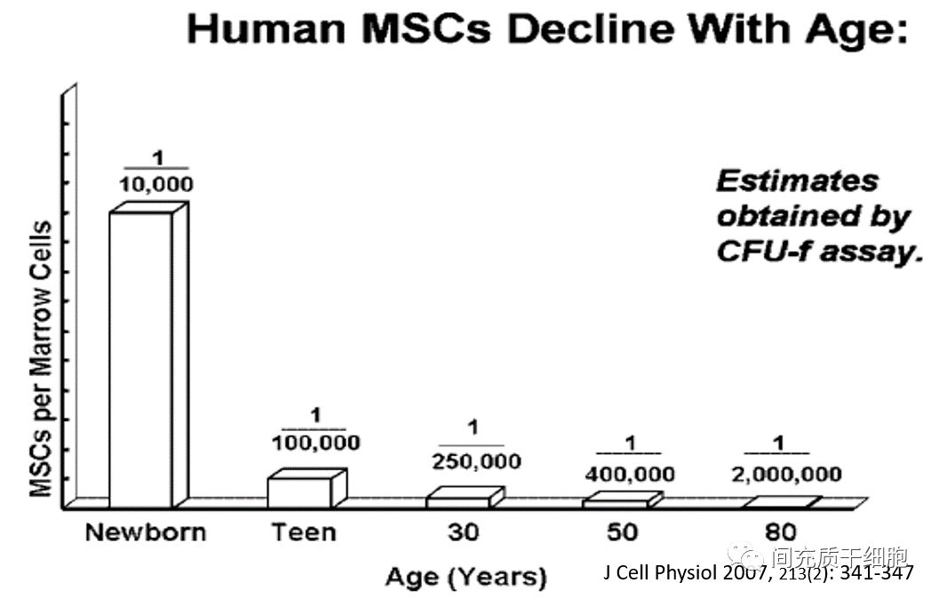 間充質(zhì)干細(xì)胞的前世今生
