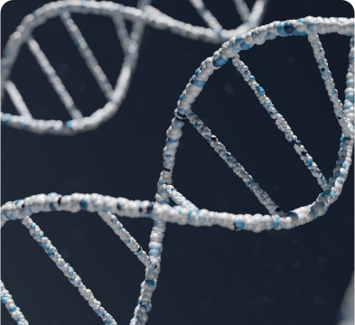 醫(yī)療服務(wù)