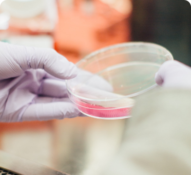 臍帶間充質(zhì)干細胞