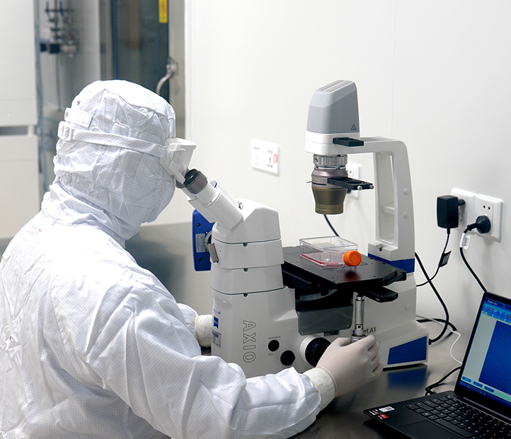 干細胞臨床研究管理辦法（試行）